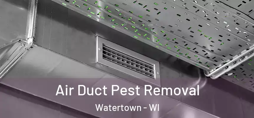 Air Duct Pest Removal Watertown - WI