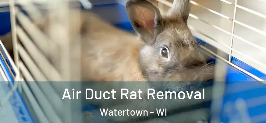  Air Duct Rat Removal Watertown - WI