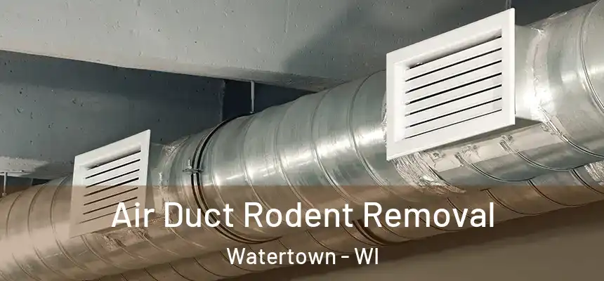  Air Duct Rodent Removal Watertown - WI