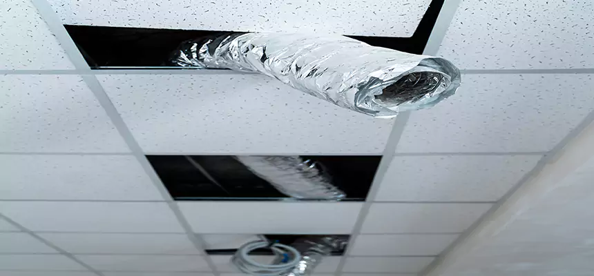 Our Air Duct Pet Hair Removal Services in Watertown, WI