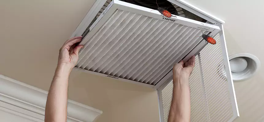 Our Insect Removal from Air Ducts Services in Watertown, WI