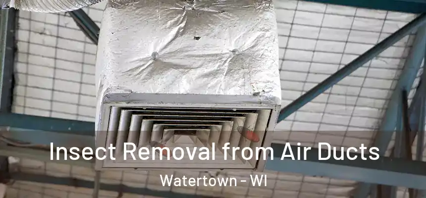 Insect Removal from Air Ducts Watertown - WI