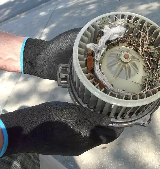 About Air Duct Mice Removal in Watertown, WI