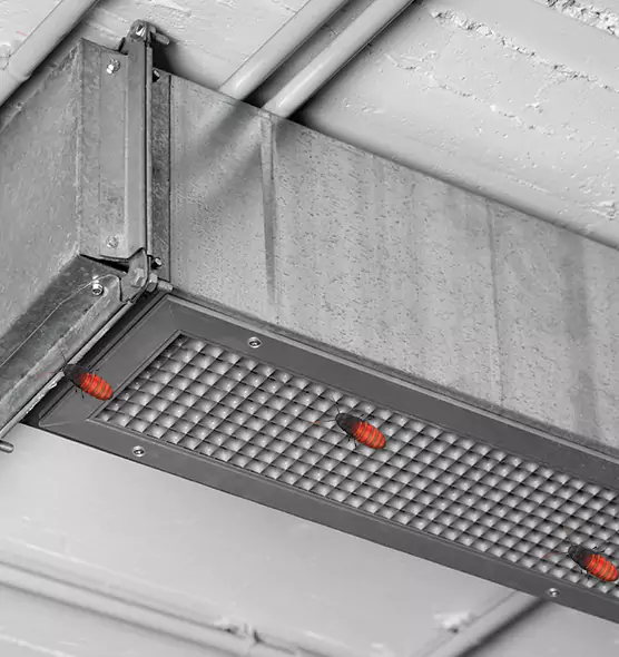 Affordable Insect Removal from Air Ducts in Watertown, WI