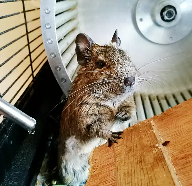 Why Homeowners & Businesses Trust Us Watertown, WI?